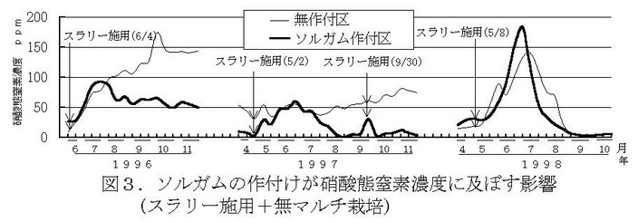 図3 ソルガムの作付が硝酸態窒素濃度に及ぼす影響