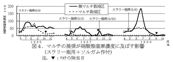 図4 マルチの展張が硝酸態窒素濃度に及ぼす影響