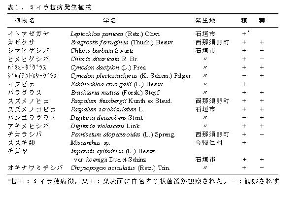 表1 ミイラ穂病発生植物