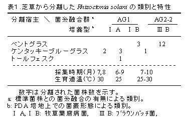 表1 芝草から分離したRhizoctonia solaniの類別と特性