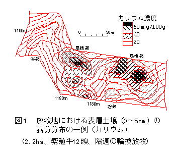 図1 放牧地における表層土壌(0～5cm)の養分分布の一例