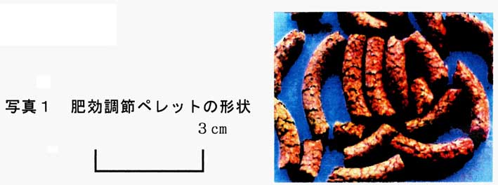 写真1 肥効調節ペレットの形状