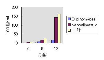 図1 月齢