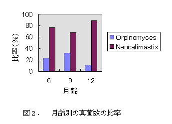 図2 月齢別の真菌数の比率
