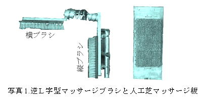 写真1 逆L字型マッサージブラシと人工芝マッサージ板