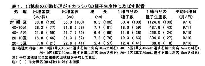 表1 出穂前の刈り取り処理がチカラシバの種子生産性に及ぼす影響