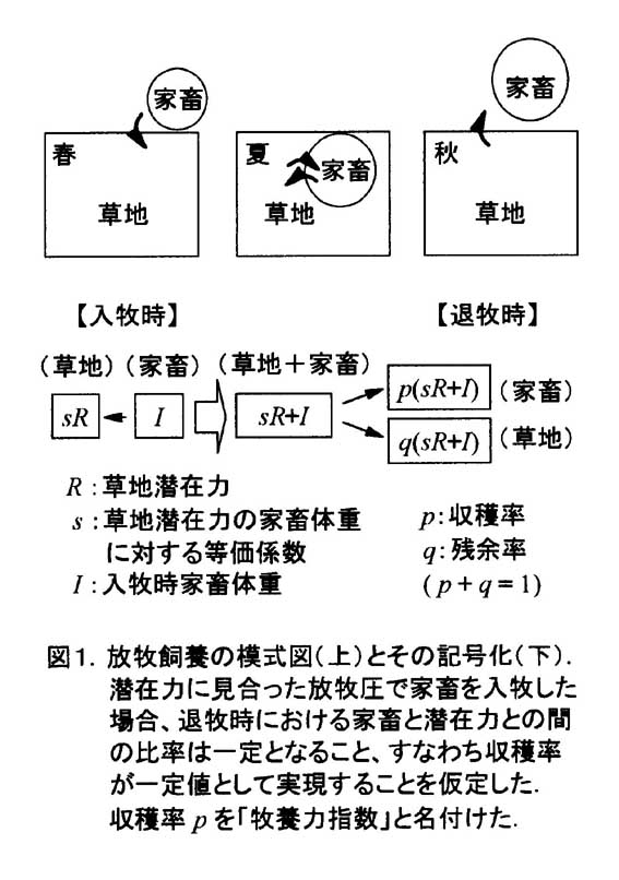 図1 放牧飼養の模式図(上)とその記号化(下)