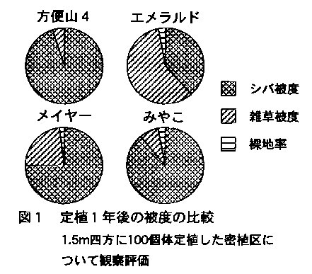 図1 定植1年後の被度の比較