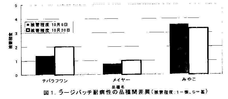 図1 ラージパッチ耐病性の品種間差異