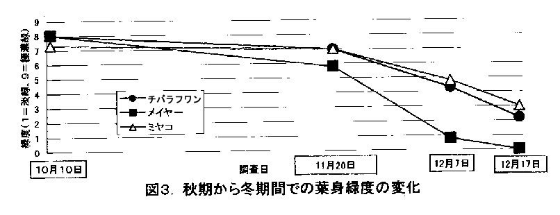 図3 秋季から冬期間での葉身緑度の変化