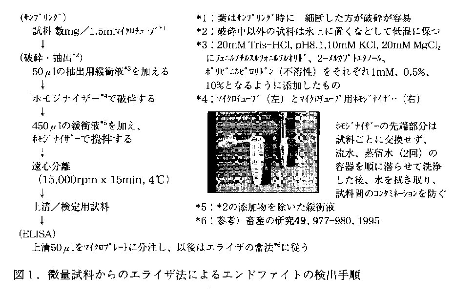 図1 微量試料からのエライザ法によるエンドファイトの検出手順