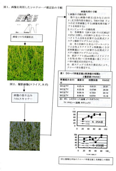 図1 画像を利用したシロクローバ推定法の手順