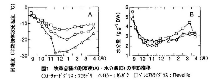 図1 牧草品種の耐凍度(A)・水分量(B)の季節推移