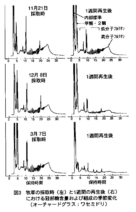 図3 牧草の採取時(左)と1週間の再生後(右)における冠部糖含量および組成の季節変化