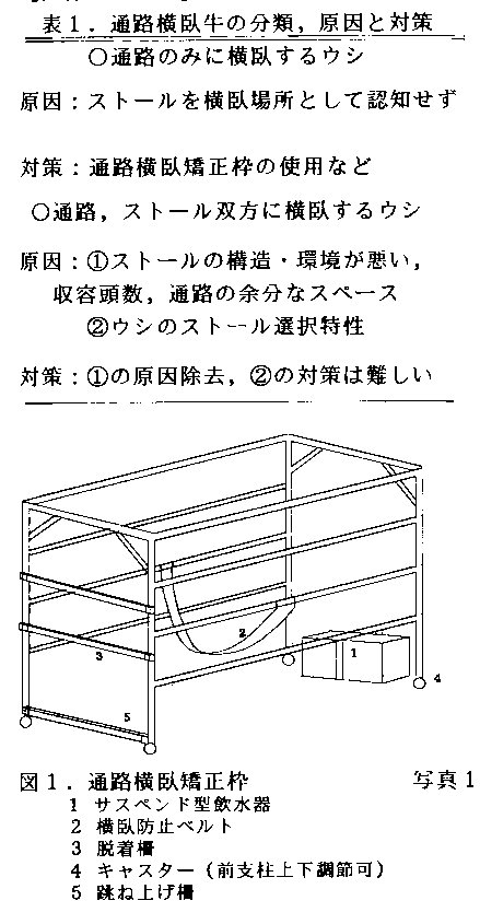 表1 通路横臥牛の分類、原因と対策