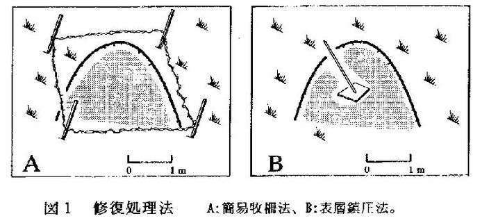 図1 修復処理法