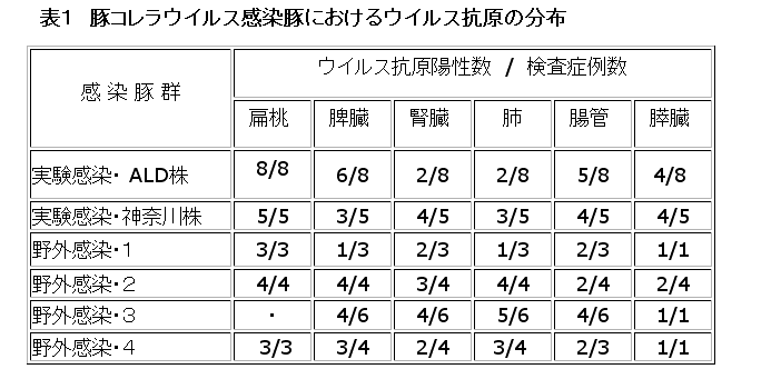 表1 豚コレラウイルス感染豚におけるウイルス抗原の分布