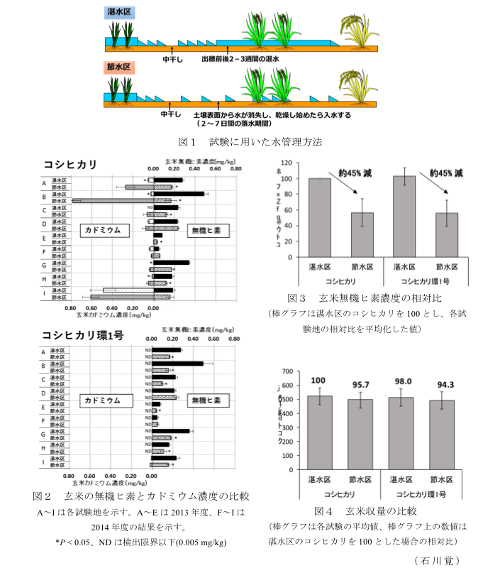 図1 試験に用いた水管理方法?図2 玄米の無機ヒ素とカドミウム濃度の比較?図3 玄米無機ヒ素濃度の相対比?図4 玄米収量の比較