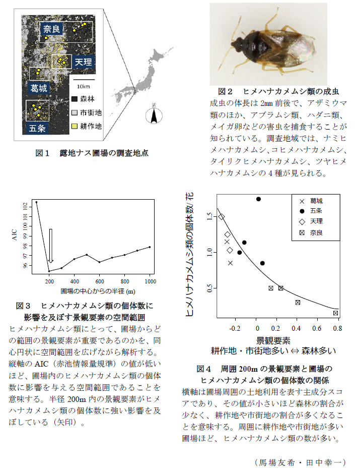 図1 露地ナス圃場の調査地点?図2 ヒメハナカメムシ類の成虫?図3 ヒメハナカメムシ類の個体数に影響を及ぼす景観要素の空間範囲?図4 周囲200mの景観要素と圃場のヒメハナカメムシ類の個体数の関係