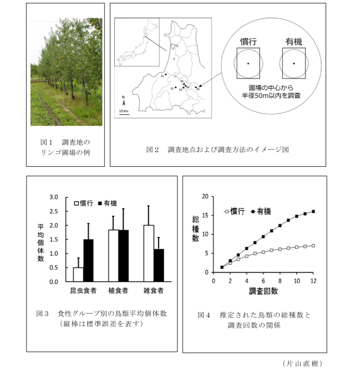 図1 調査地のリンゴ圃場の例?図2 調査地点および調査方法のイメージ図?図3 食性グループ別の鳥類平均個体数(縦棒は標準誤差を表す)?図4 推定された鳥類の総種数と調査回数の関係