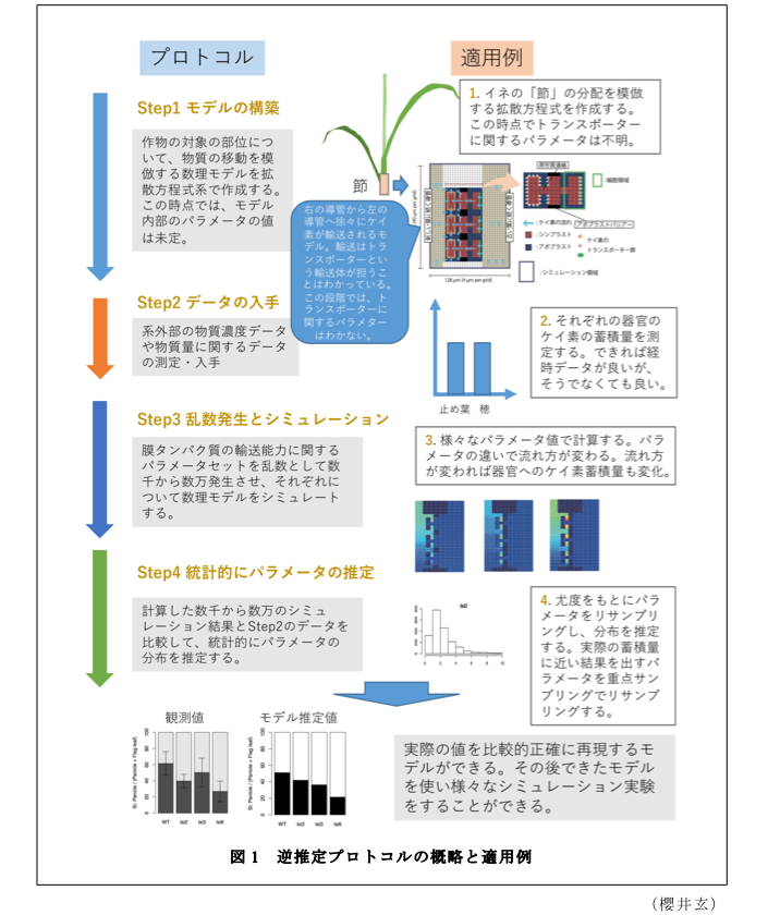 図1 逆推定プロトコルの概略と適用例