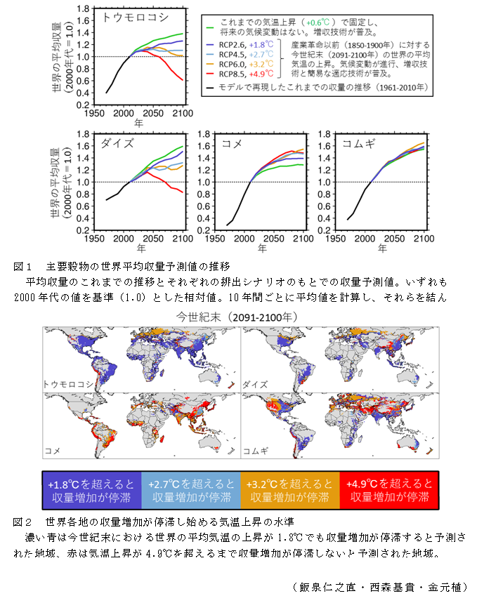 図1 主要穀物の世界平均収量予測値の推移;図2 世界各地の収量増加が停滞し始める気温上昇の水準;