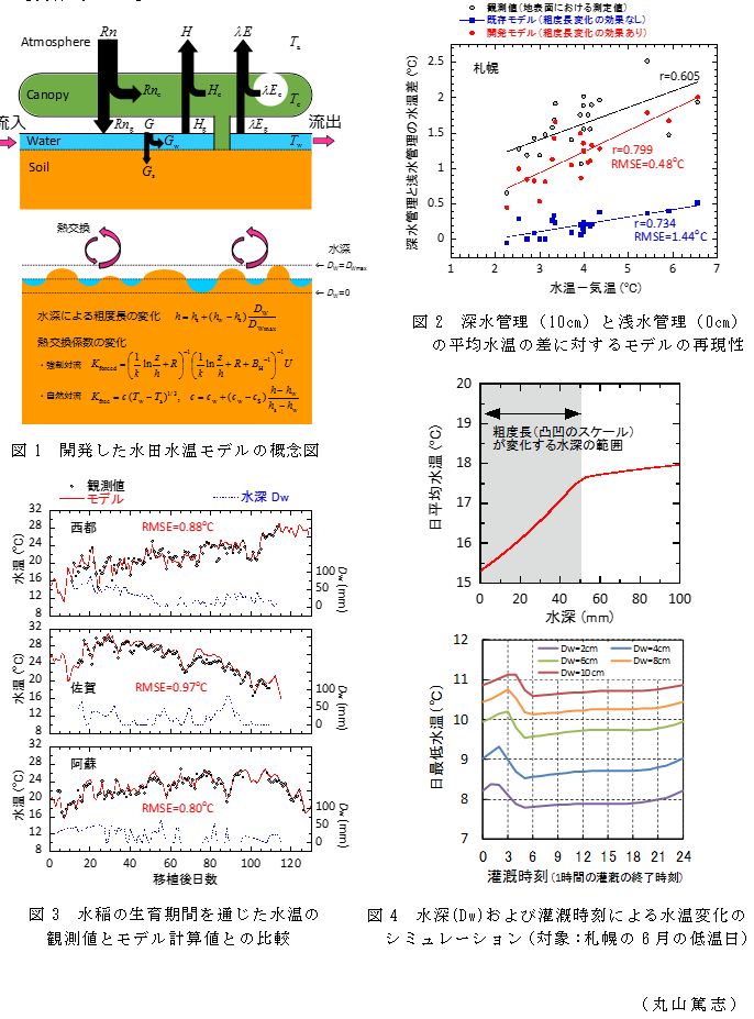 図1 開発した水田水温モデルの概念図;図2 深水管理(10cm)と浅水管理(0cm)の平均水温の差に対するモデルの再現性;図3 水稲の生育期間を通じた水温の
観測値とモデル計算値との比較;図4 水深(Dw)および灌漑時刻による水温変化の
シミュレーション(対象:札幌の6月の低温日)