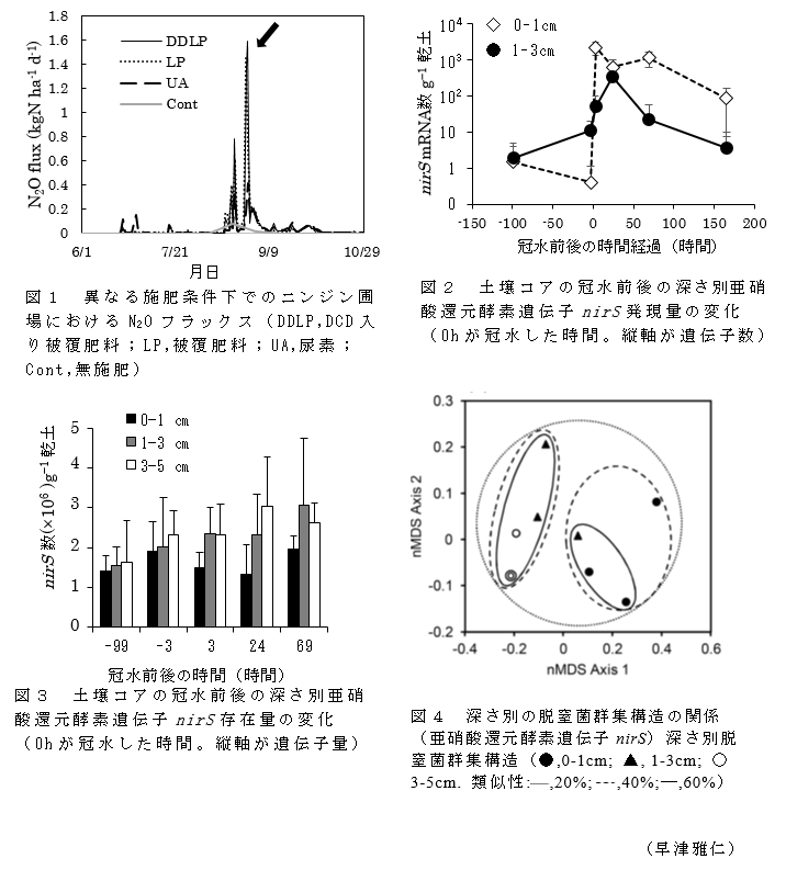 図1 異なる施肥条件下でのニンジン圃場におけるN2Oフラックス;図2 土壌コアの冠水前後の深さ別亜硝酸還元酵素遺伝子nirS発現量の変化;図3 土壌コアの冠水前後の深さ別亜硝酸還元酵素遺伝子nirS存在量の変化;図4 深さ別の脱窒菌群集構造の関係