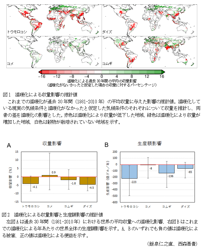 図1 温暖化による収量影響の推計値,図2 温暖化による収量影響と生産額影響の推計値,