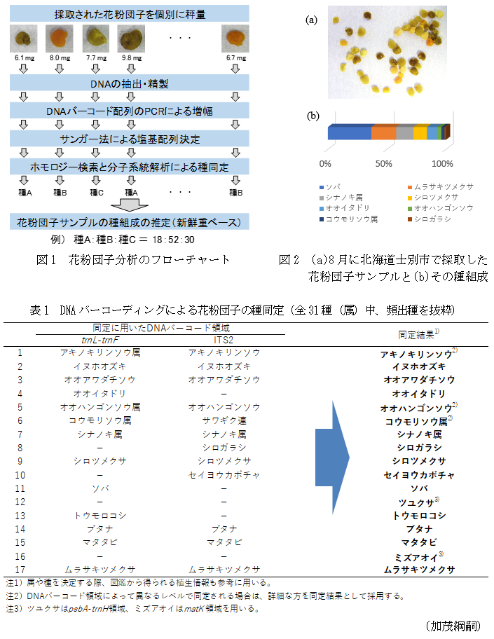 図1 花粉団子分析のフローチャート,図2 (a)8月に北海道士別市で採取した花粉団子サンプルと(b)その種組成,表1 DNAバーコーディングによる花粉団子の種同定(全31種(属)中、頻出種を抜粋)