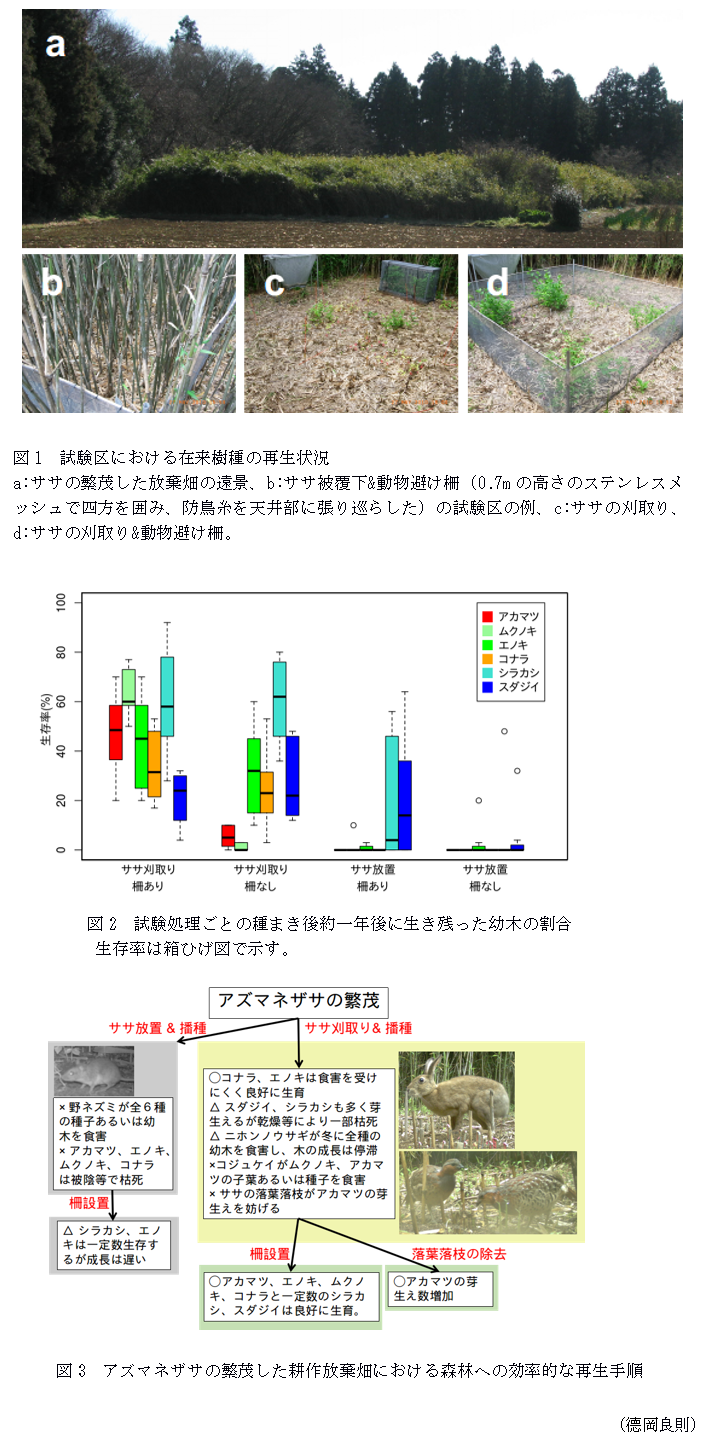 図1 試験区における在来樹種の再生状況,図2 試験処理ごとの種まき後約一年後に生き残った幼木の割合生存率は箱ひげ図で示す,図3 アズマネザサの繁茂した耕作放棄畑における森林への効率的な再生手順