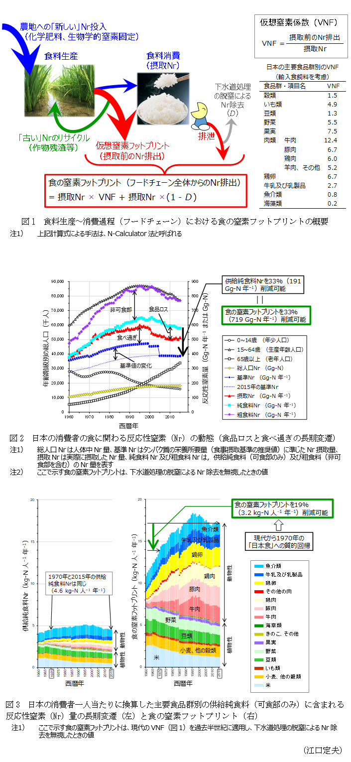 図1 食料生産～消費過程(フードチェーン)における食の窒素フットプリントの概要,図2 日本の消費者の食に関わる反応性窒素(Nr)の動態(食品ロスと食べ過ぎの長期変遷),図3 日本の消費者一人当たりに換算した主要食品群別の供給純食料(可食部のみ)に含まれる反応性窒素(Nr)量の長期変遷(左)と食の窒素フットプリント(右)