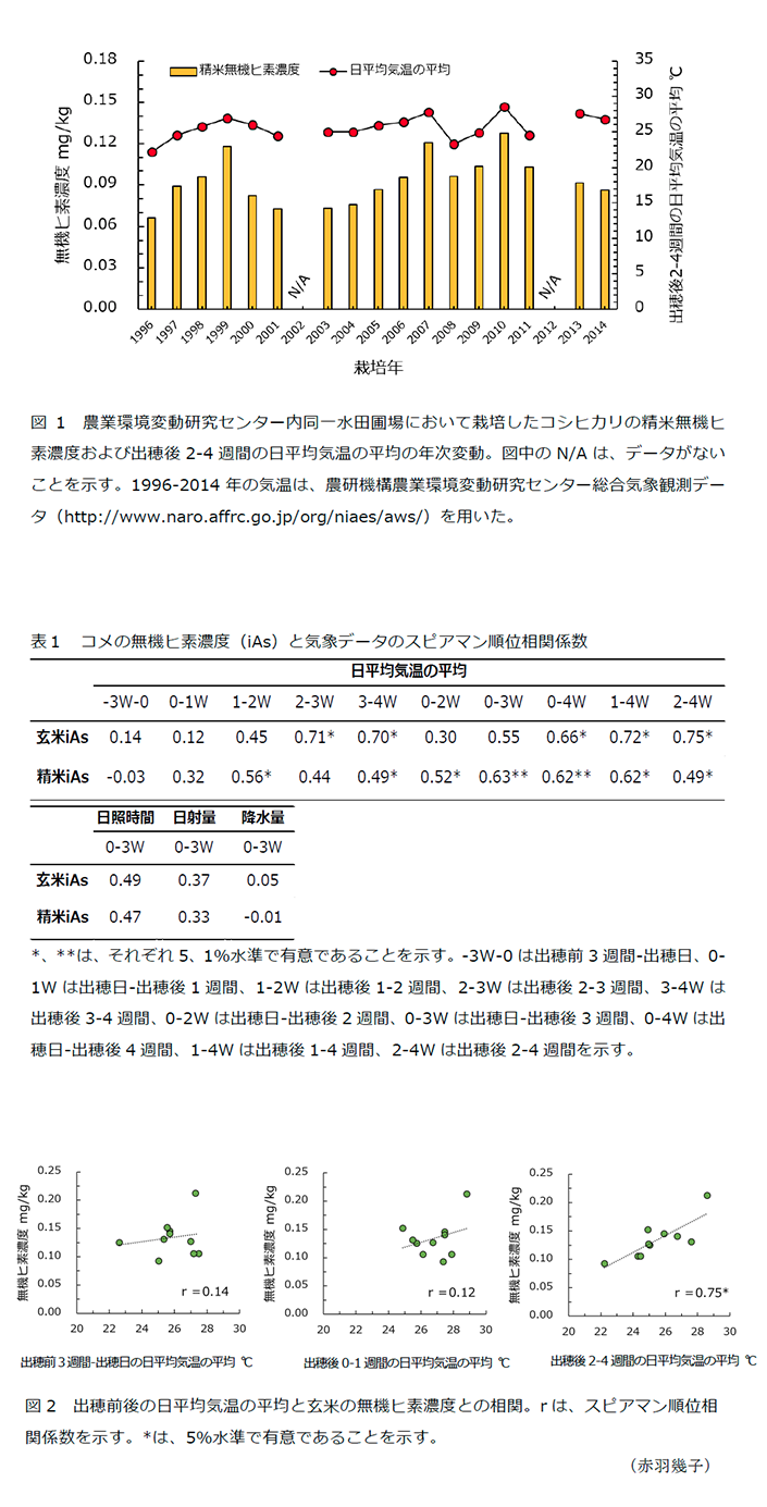 図1 農業環境変動研究センター内同一水田圃場において栽培したコシヒカリの精米無機ヒ素濃度および出穂後2‐4週間の日平均気温の平均の年次変動,表1 コメの無機ヒ素濃度(iAs)と気象データのスピアマン順位相関係数,図2 出穂前後の日平均気温の平均と玄米の無機ヒ素濃度との相関