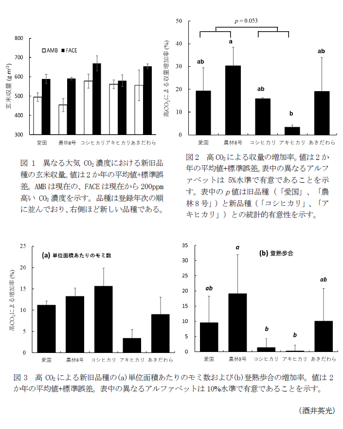 図1 異なる大気CO2濃度における新旧品種の玄米収量,図2 高CO2による収量の増加率,図3 高CO2による新旧品種の(a)単位面積あたりのモミ数および(b)登熟歩合の増加率