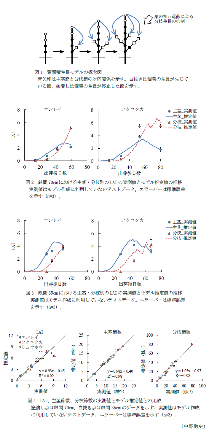 図1 葉面積生長モデルの概念図,図2 畝間70cmにおける主茎・分枝別のLAIの実測値とモデル推定値の推移,図3 畝間35cmにおける主茎・分枝別のLAIの実測値とモデル推定値の推移,図4 LAI、主茎節数、分枝節数の実測値とモデル推定値との比較