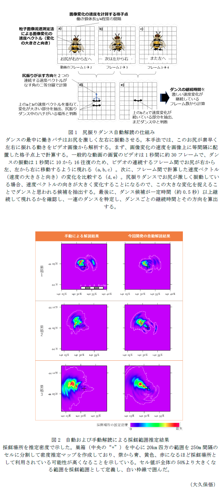 図1 尻振りダンス自動解読の仕組み,図2 自動および手動解読による採餌範囲推定結果