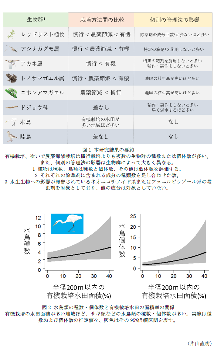 図1 本研究結果の要約,図2 水鳥類の種数・個体数と有機栽培水田の面積率の関係