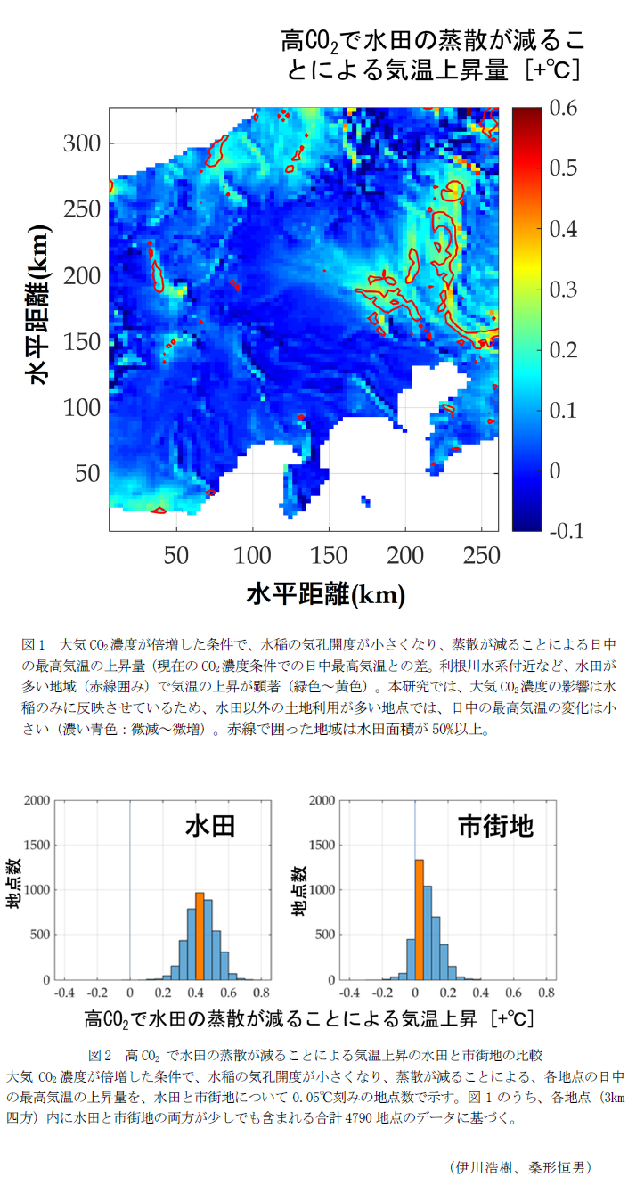 図1 大気CO2濃度が倍増した条件で、水稲の気孔開度が小さくなり、蒸散が減ることによる日中の最高気温の上昇量,図2 高CO2で水田の蒸散が減ることによる気温上昇の水田と市街地の比較