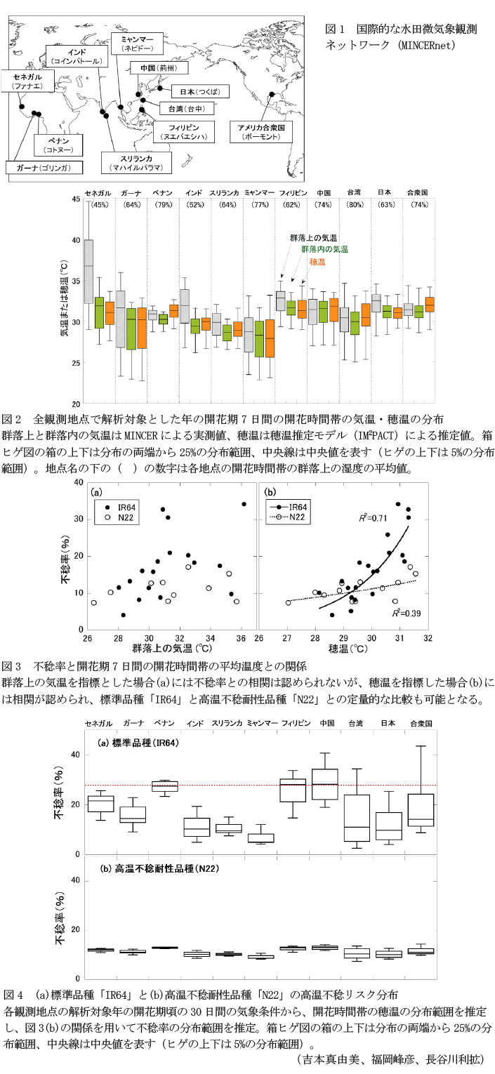 図1 国際的な水田微気象観測ネットワーク(MINCERnet),図2 全観測地点で解析対象とした年の開花期7日間の開花時間帯の気温・穂温の分布,図3 不稔率と開花期7日間の開花時間帯の平均温度との関係,図4 (a)標準品種「IR64」と(b)高温不稔耐性品種「N22」の高温不稔リスク分布