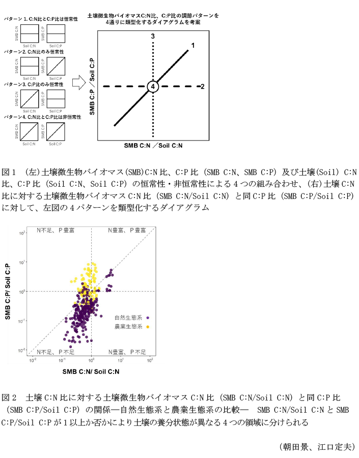 図1 (左)土壌微生物バイオマス(SMB)C:N比、C:P比(SMB C:N、SMB C:P)及び土壌(Soil) C:N比、C:P比(Soil C:N、Soil C:P)の恒常性・非恒常性による4つの組み合わせ、(右)土壌C:N比に対する土壌微生物バイオマスC:N比(SMB C:N/Soil C:N)と同C:P比(SMB C:P/Soil C:P)に対して、左図の4パターンを類型化するダイアグラム,図2 土壌C:N比に対する土壌微生物バイオマスC:N比(SMB C:N/Soil C:N)と同C:P比