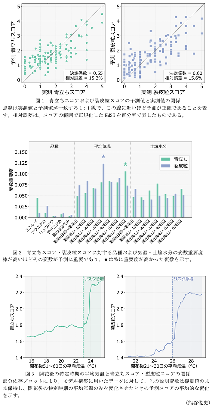 図1 青立ちスコアおよび裂皮粒スコアの予測値と実測値の関係,図2 青立ちスコア・裂皮粒スコアに対する品種および気温・土壌水分の変数重要度,図3 開花後の特定時期の平均気温と青立ちスコア・裂皮粒スコアの関係