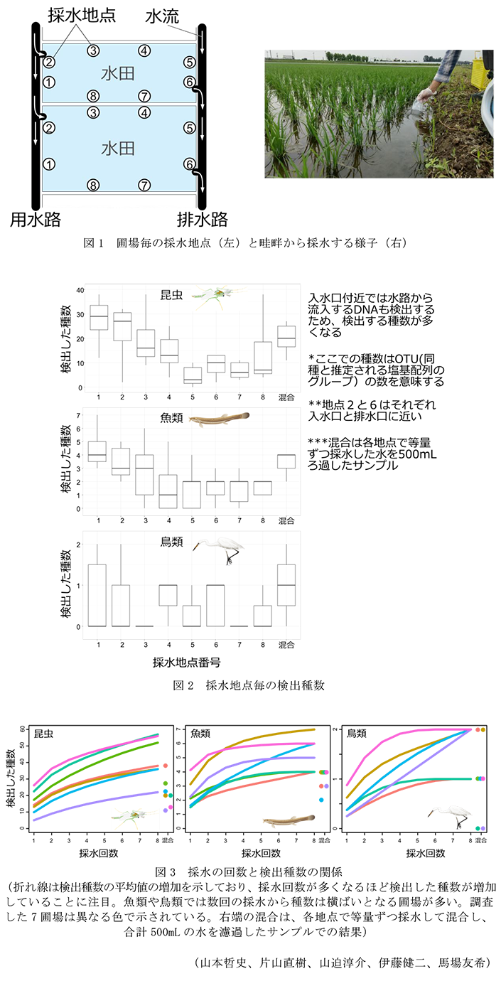図1 圃場毎の採水地点(左)と畦畔から採水する様子(右),図2 採水地点毎の検出種数,図3 採水の回数と検出種数の関係