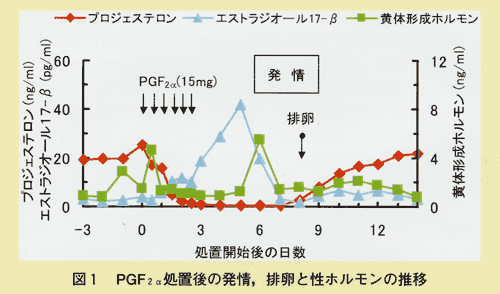 図1 PGF2α処置後の発情、排卵と性ホルモンの推移