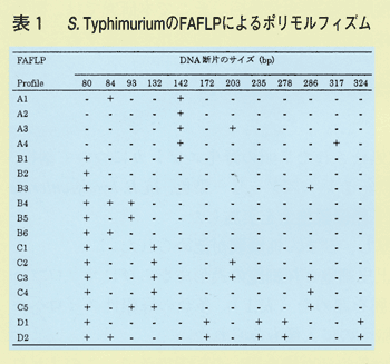 表1 S.TyphimuriumのFAFLPによるポリモルフィズム