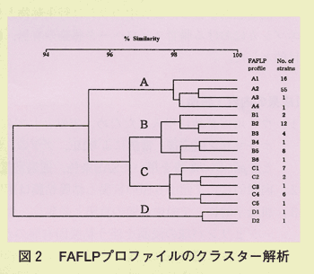 図2 FAFLPプロファイルのクラスター解析