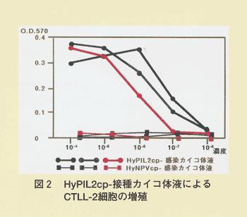 図2 HyPIL2cp-接種カイコ体液によるCTLL-2細胞の増殖