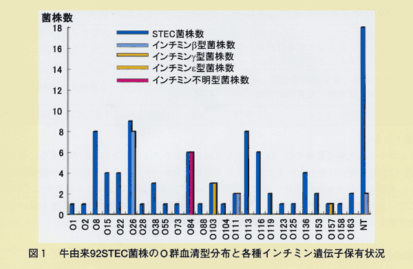 図1 牛由来92STEC菌株のO群血清型分布と各種インチミン遺伝子保有状況