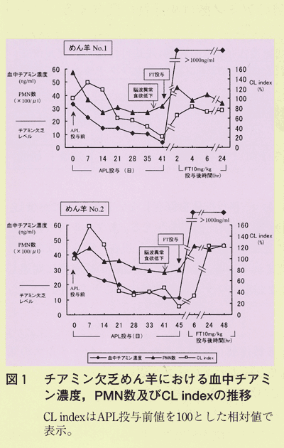 図1 チアミン欠乏めん羊における血中チアミン濃度、PMN数及びCLindexの推移