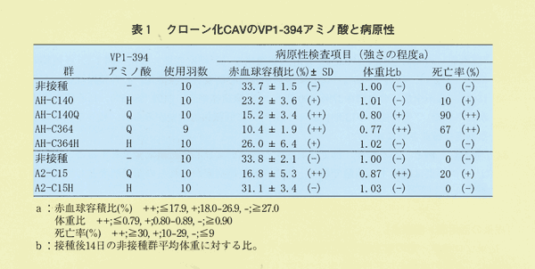 表1 クローン化CAVのVP1-394アミノ酸と病原性