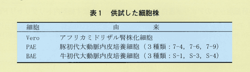 表1 供試した細胞株